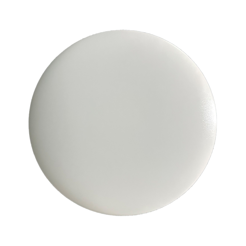 Round Metal Base Ceiling Light