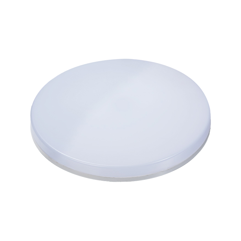 Round Ceiling Light